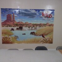 vacation bible school